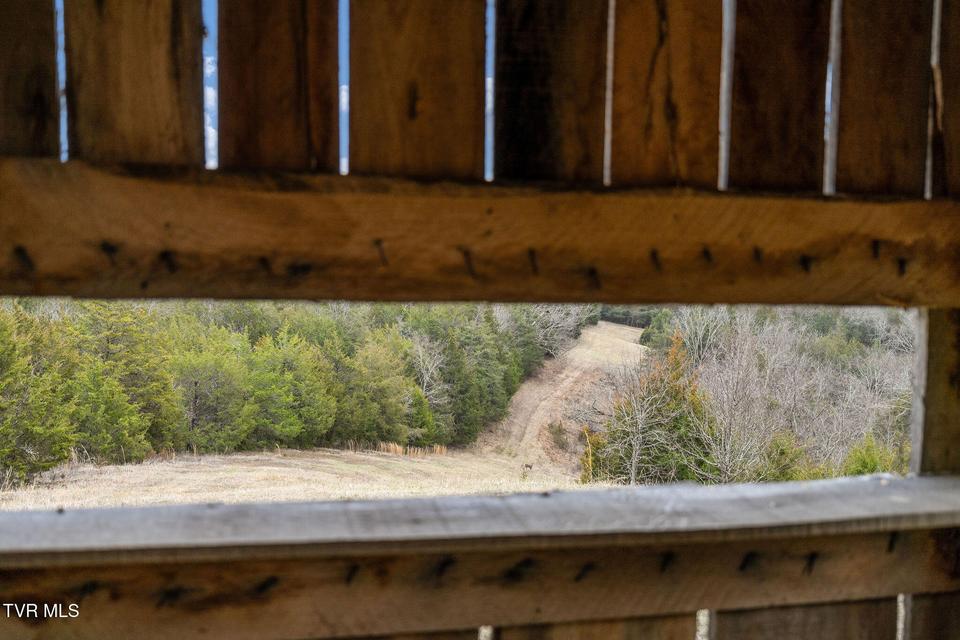 Photo #31: Tbd Smithtown Road