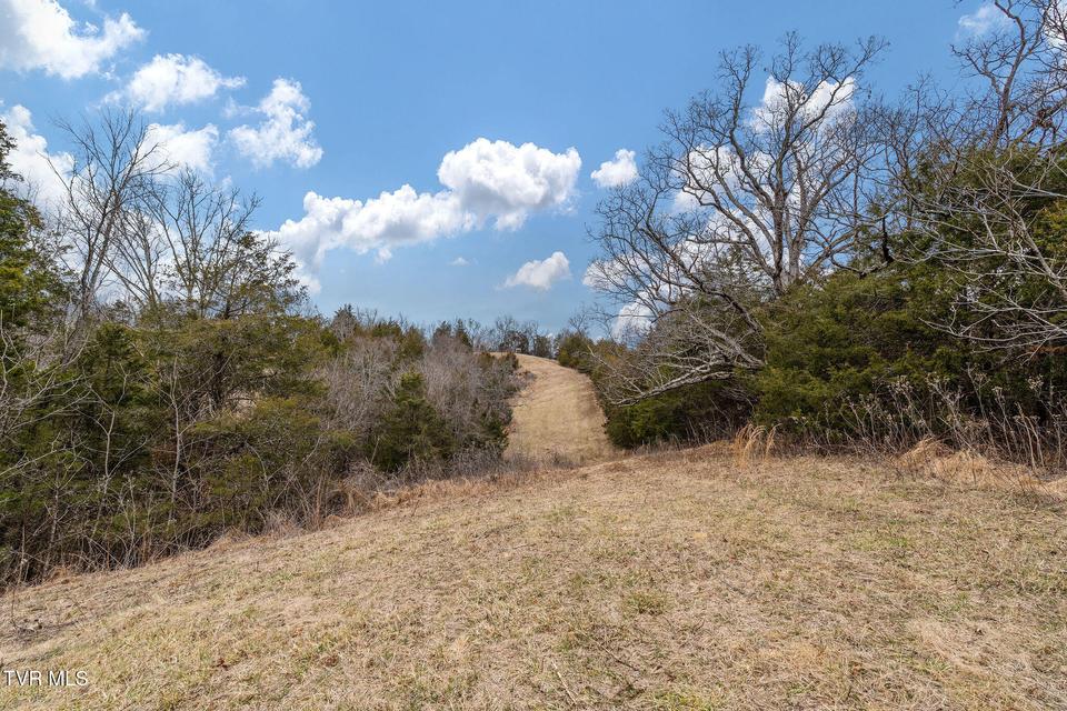 Photo #32: Tbd Smithtown Road