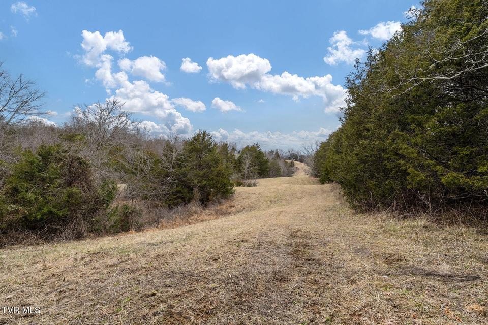 Photo #33: Tbd Smithtown Road