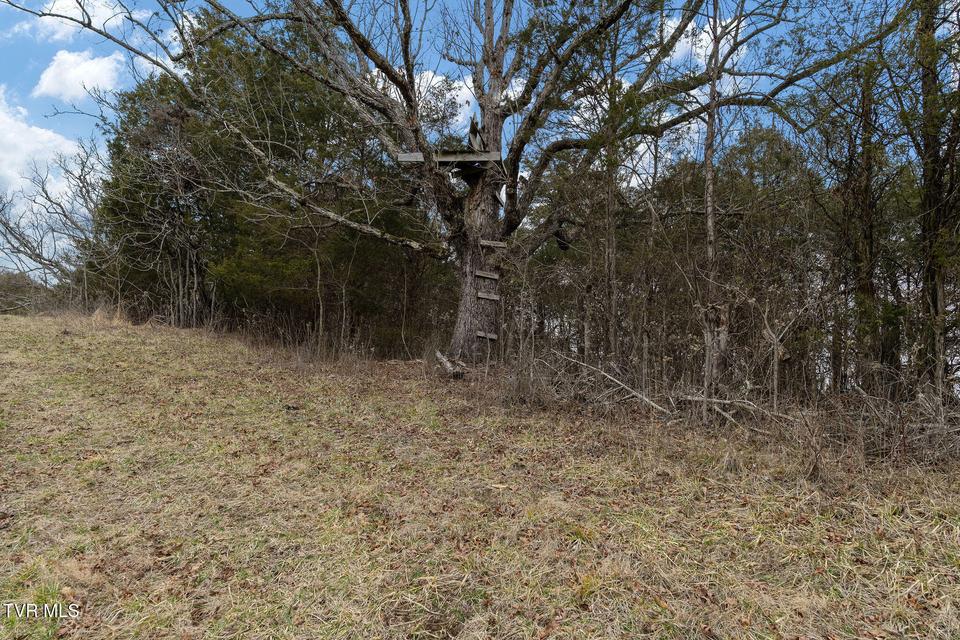 Photo #34: Tbd Smithtown Road