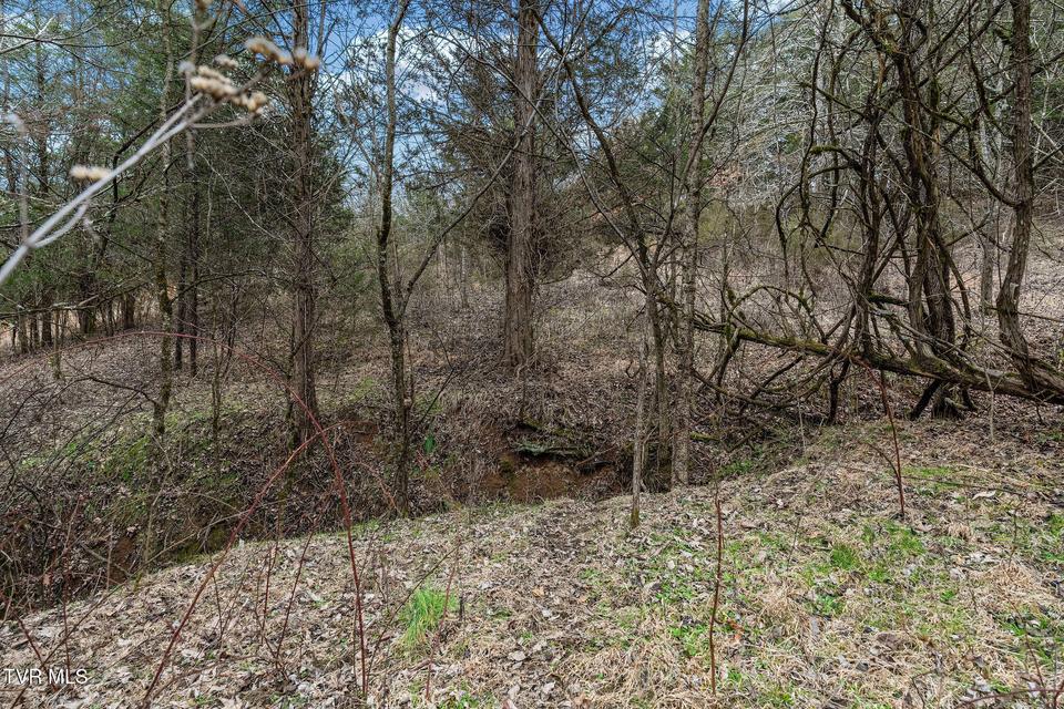 Photo #35: Tbd Smithtown Road