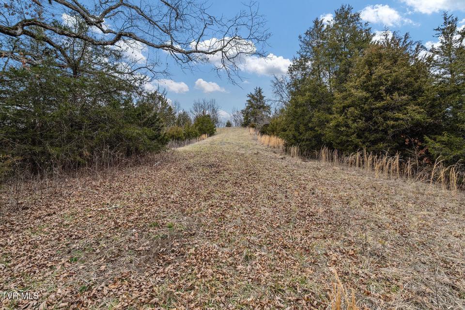 Photo #38: Tbd Smithtown Road