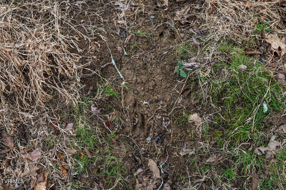 Photo #39: Tbd Smithtown Road