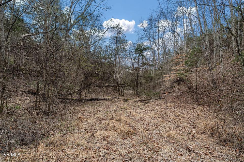 Photo #40: Tbd Smithtown Road