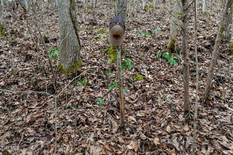 Photo #42: Tbd Smithtown Road