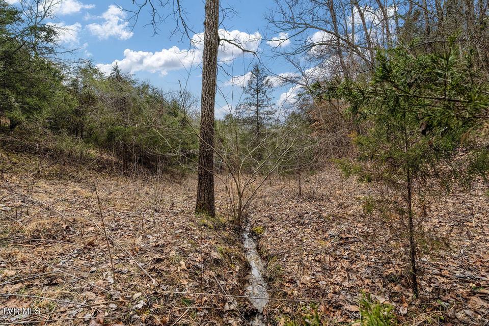 Photo #43: Tbd Smithtown Road