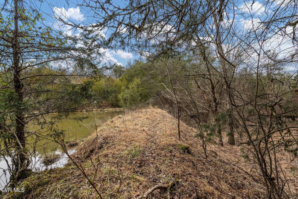 Photo #13: Tbd Smithtown Road