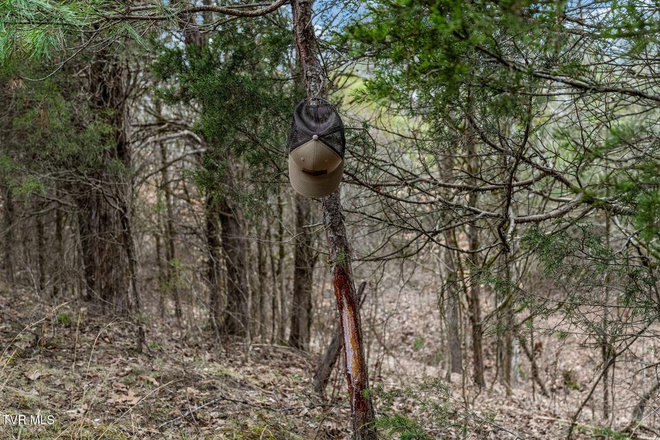 Photo #44: Tbd Smithtown Road