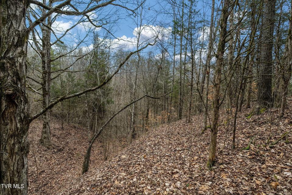 Photo #45: Tbd Smithtown Road