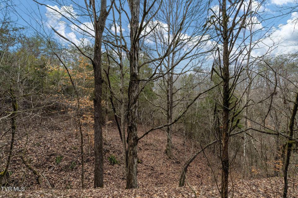 Photo #46: Tbd Smithtown Road