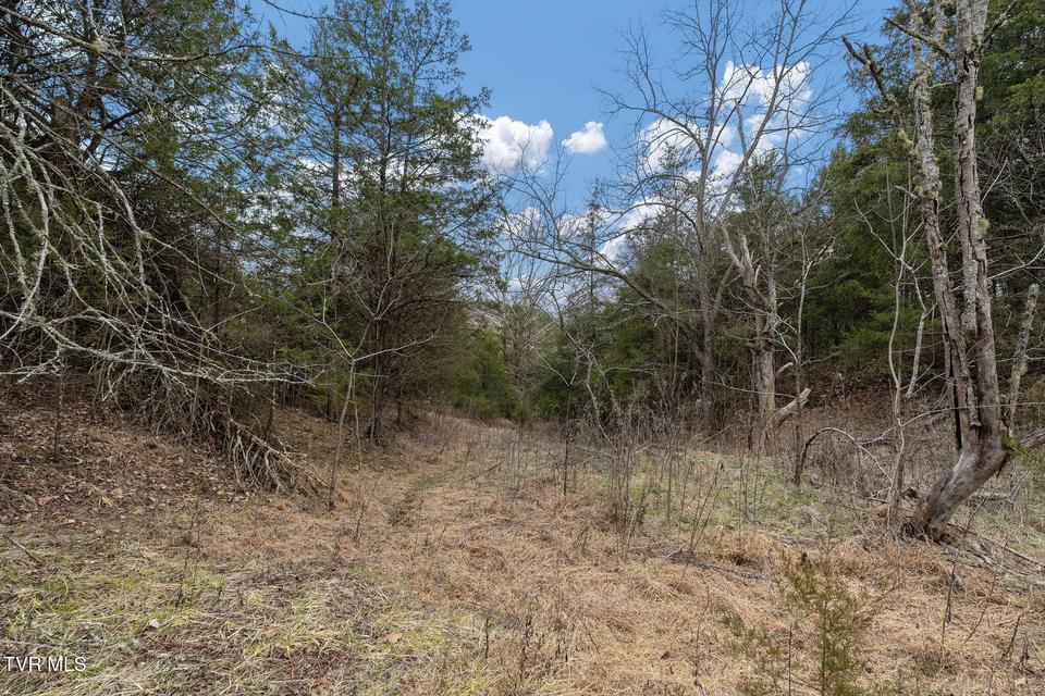 Photo #48: Tbd Smithtown Road