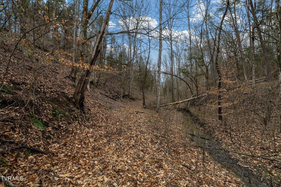 Photo #49: Tbd Smithtown Road