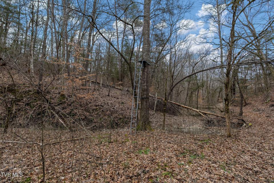 Photo #50: Tbd Smithtown Road