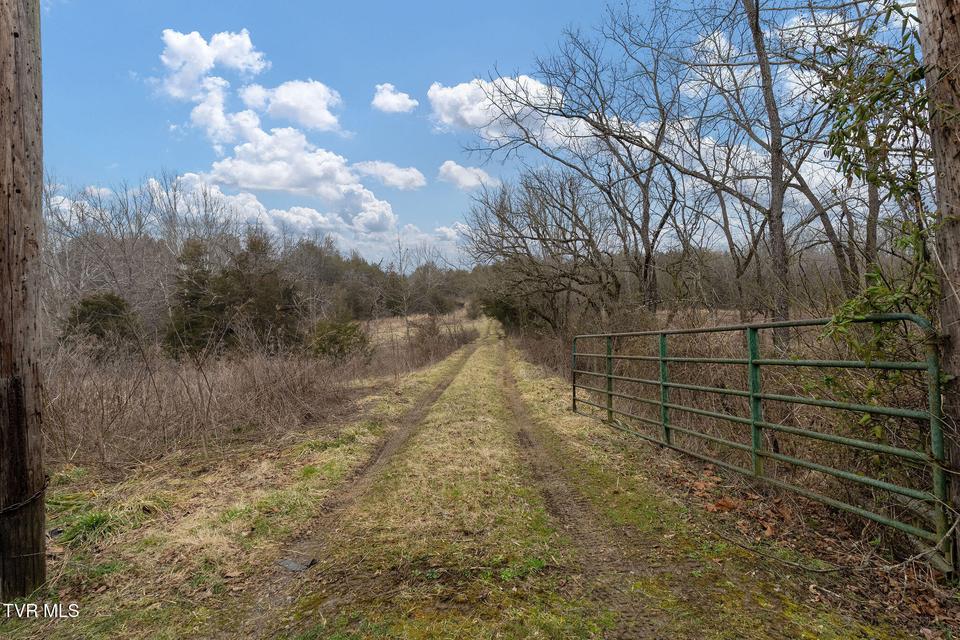 Photo #52: Tbd Smithtown Road