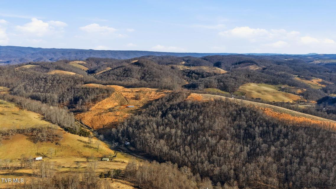 Photo #5: 431 Strong Hollow Lane