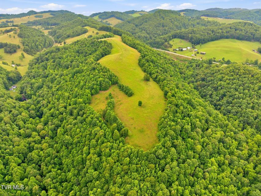 Photo #14: 431 Strong Hollow Lane