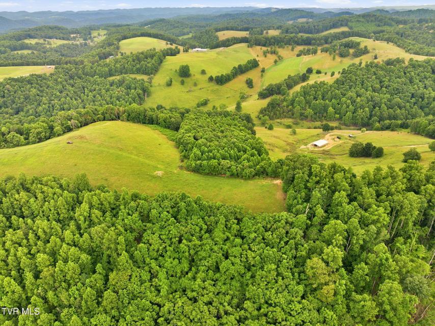 Photo #19: 431 Strong Hollow Lane