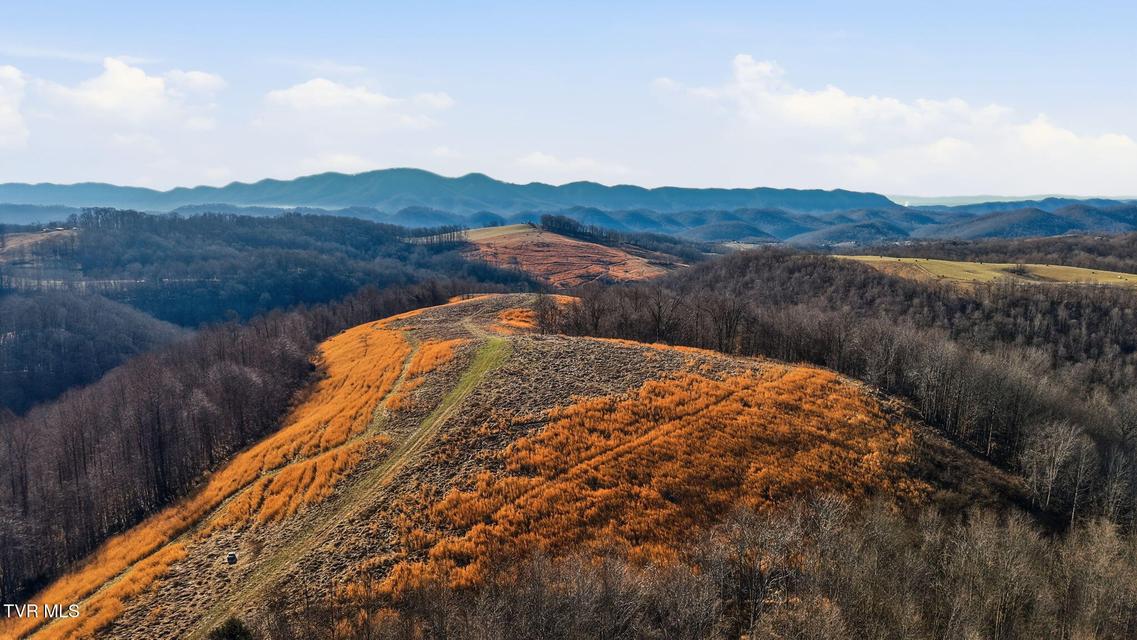 Photo #23: 431 Strong Hollow Lane