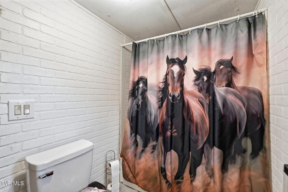 Photo #47: 431 Strong Hollow Lane