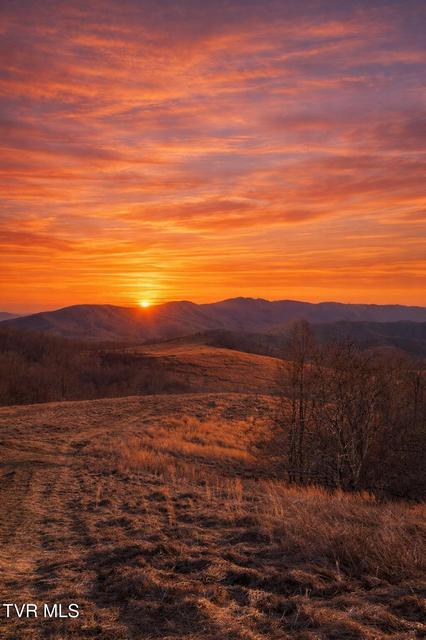 Photo #49: 431 Strong Hollow Lane