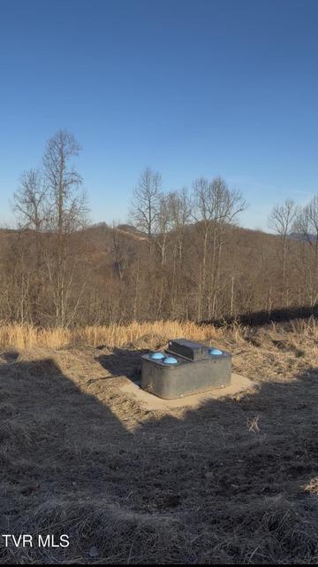 Photo #51: 431 Strong Hollow Lane