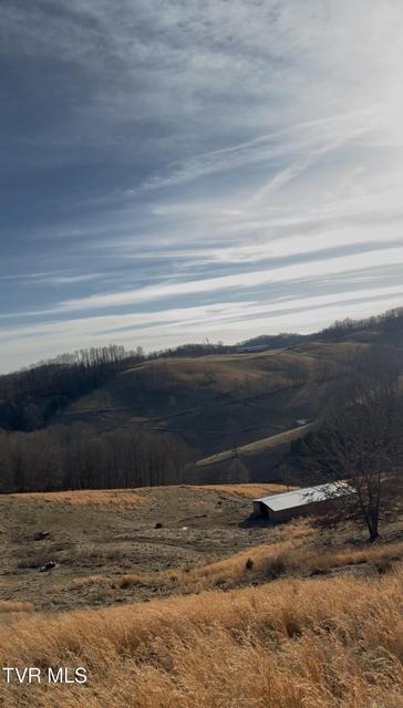 Photo #52: 431 Strong Hollow Lane