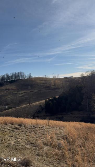 Photo #54: 431 Strong Hollow Lane