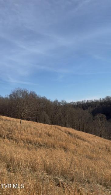 Photo #55: 431 Strong Hollow Lane