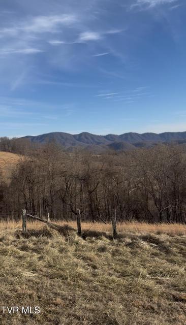 Photo #56: 431 Strong Hollow Lane