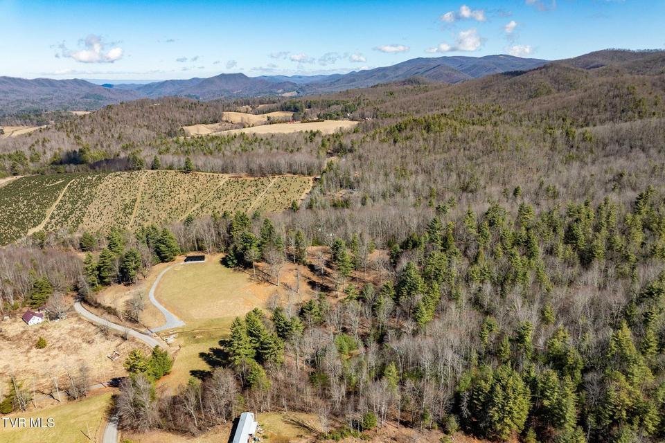 Photo #5: 828 Red Brush Road