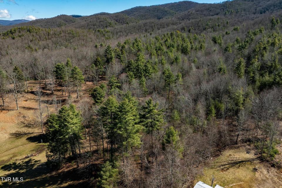 Photo #14: 828 Red Brush Road