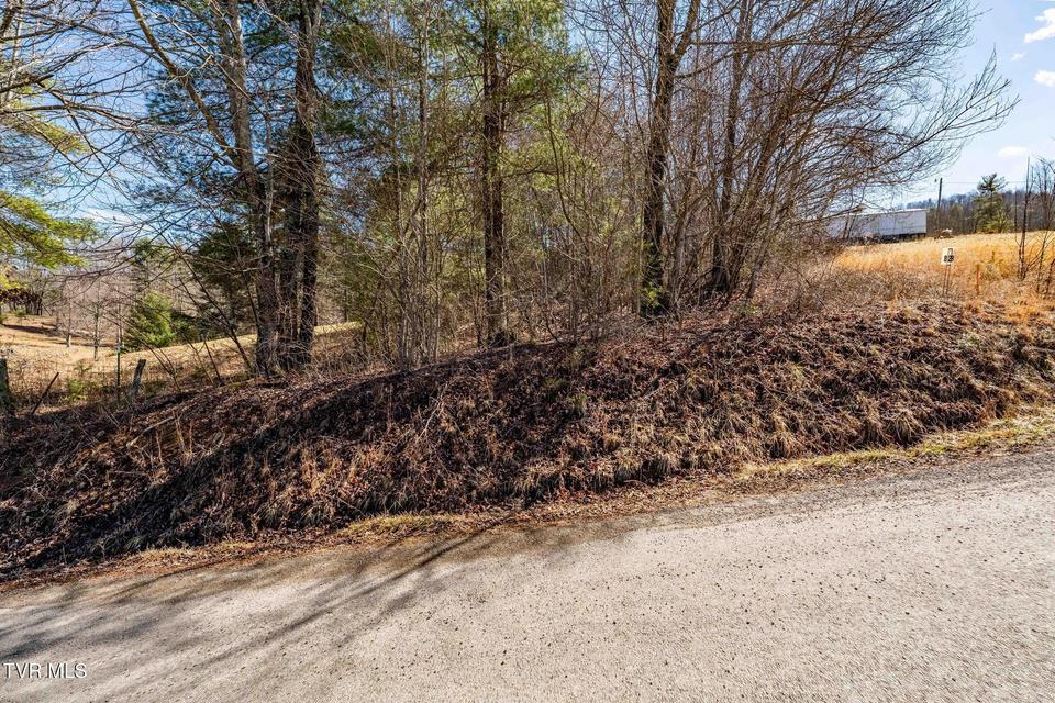 Photo #18: 828 Red Brush Road