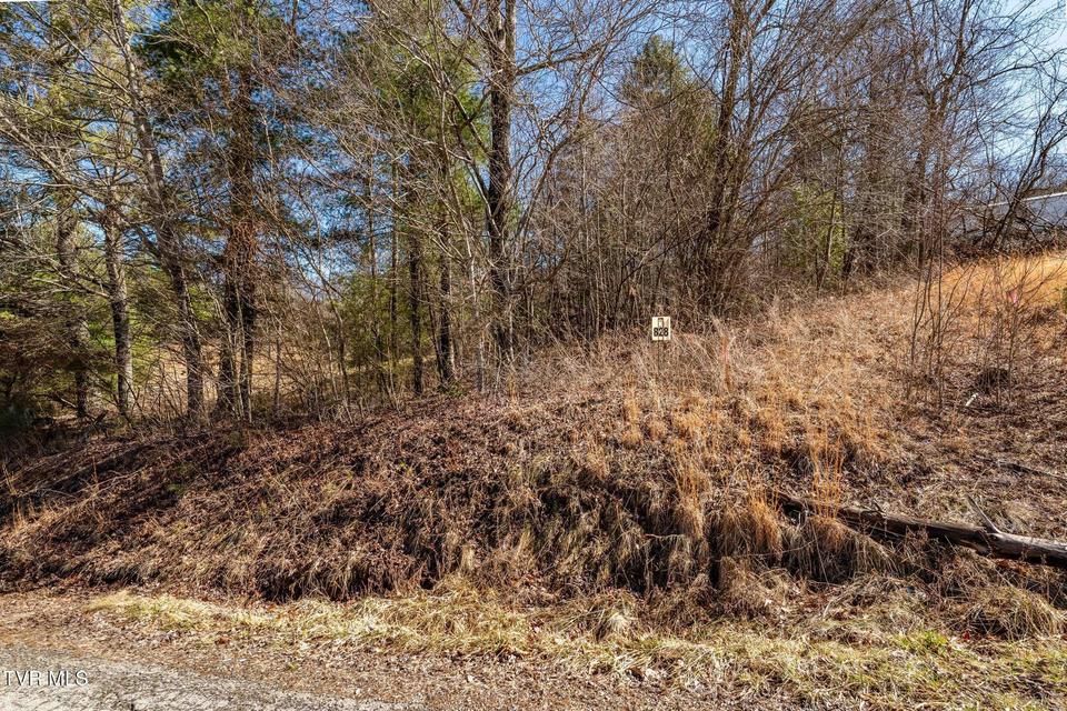 Photo #19: 828 Red Brush Road