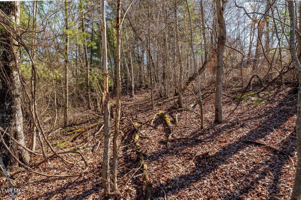 Photo #21: 828 Red Brush Road