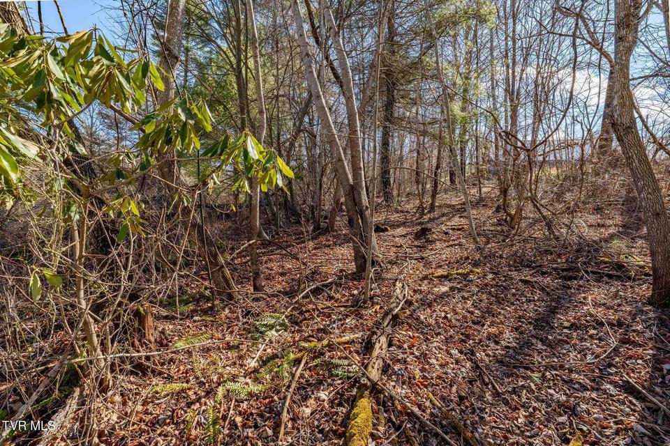 Photo #22: 828 Red Brush Road