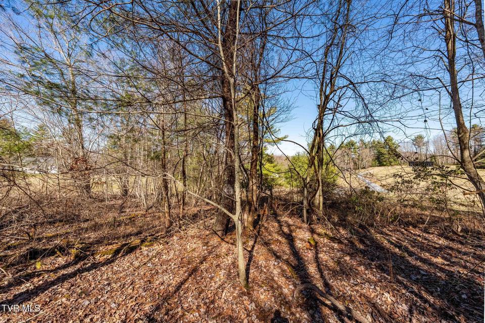 Photo #25: 828 Red Brush Road