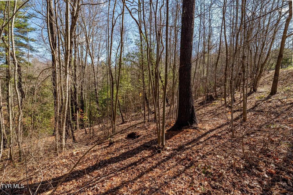 Photo #26: 828 Red Brush Road