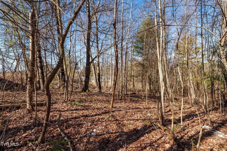 Photo #27: 828 Red Brush Road