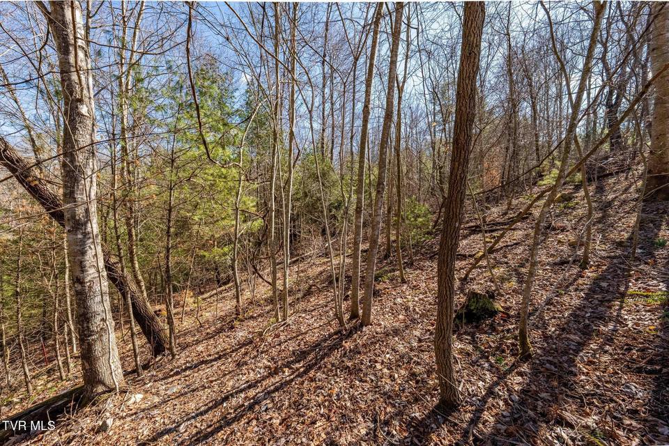 Photo #28: 828 Red Brush Road