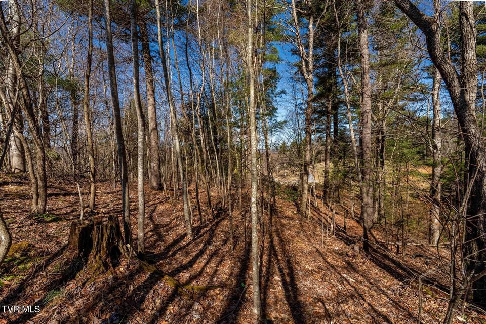 Photo #29: 828 Red Brush Road