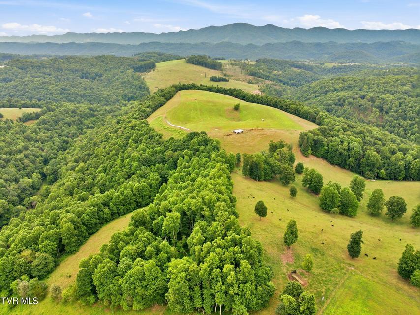 Photo #9: 000 Strong Hollow Lane