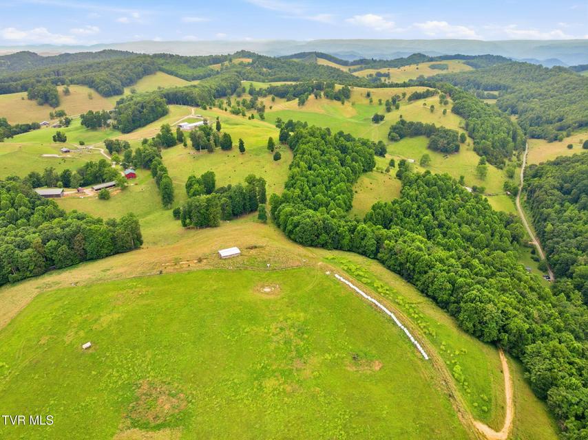 Photo #5: 000 Strong Hollow Lane