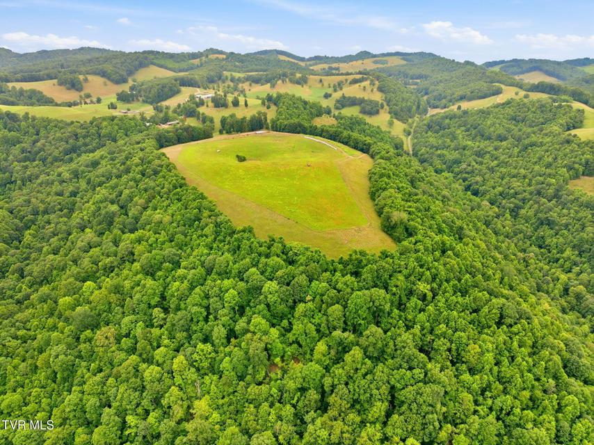 Photo #11: 000 Strong Hollow Lane