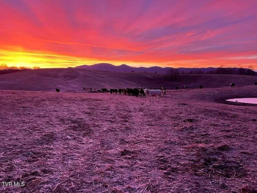 Photo #8: 000 Strong Hollow Lane