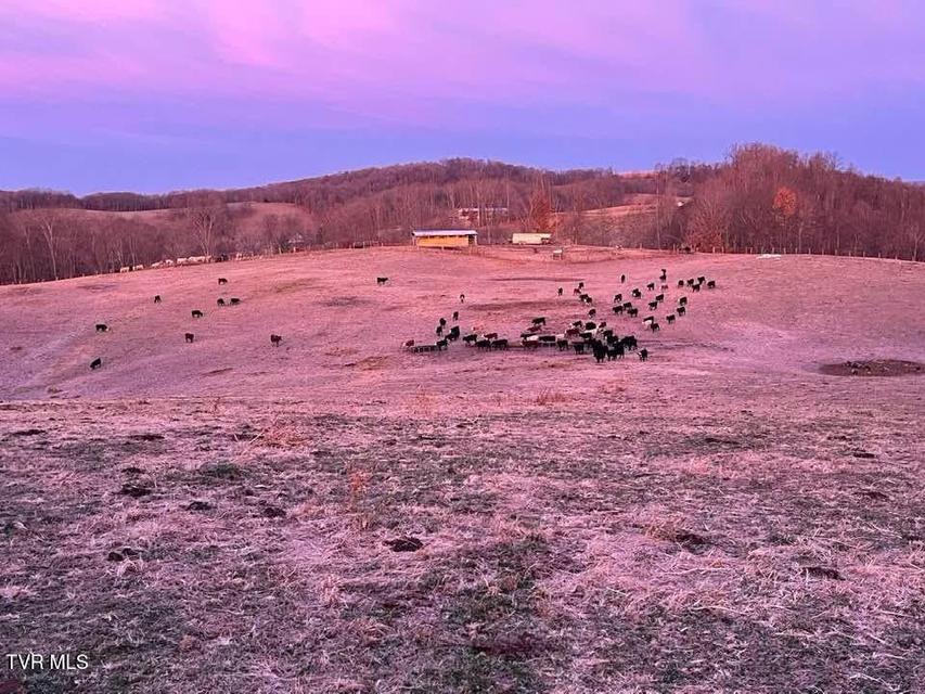 Photo #6: 000 Strong Hollow Lane