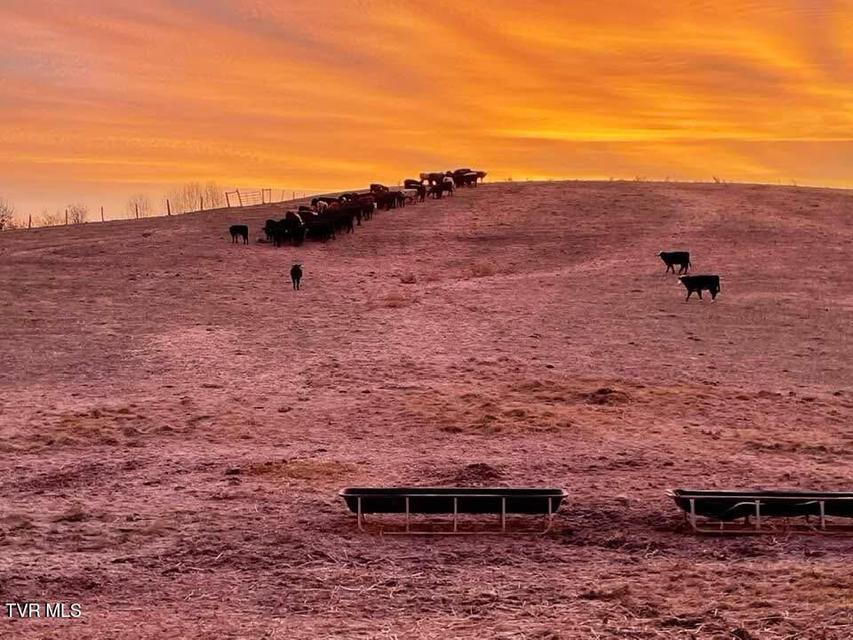 Photo #4: 000 Strong Hollow Lane