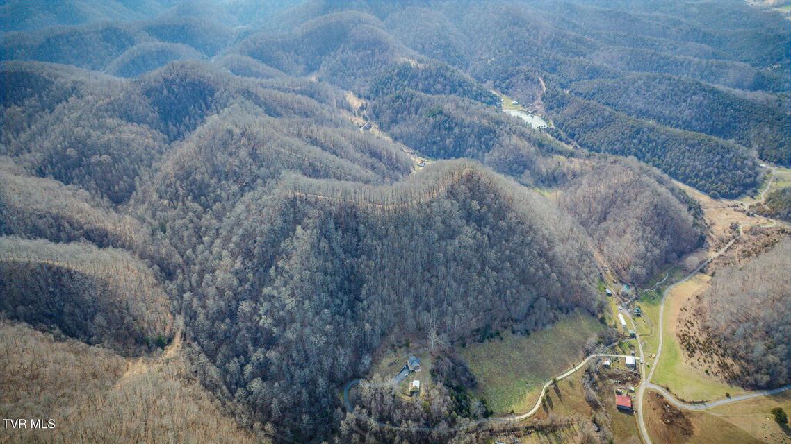 Photo #32: 547 Wynding Way Drive