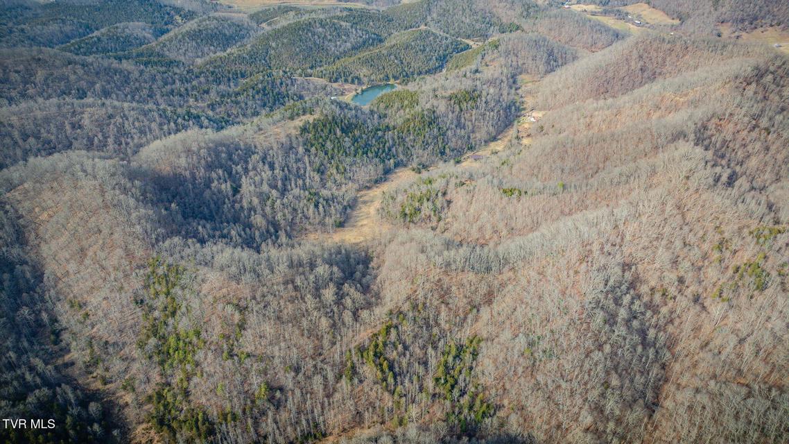 Photo #33: 547 Wynding Way Drive