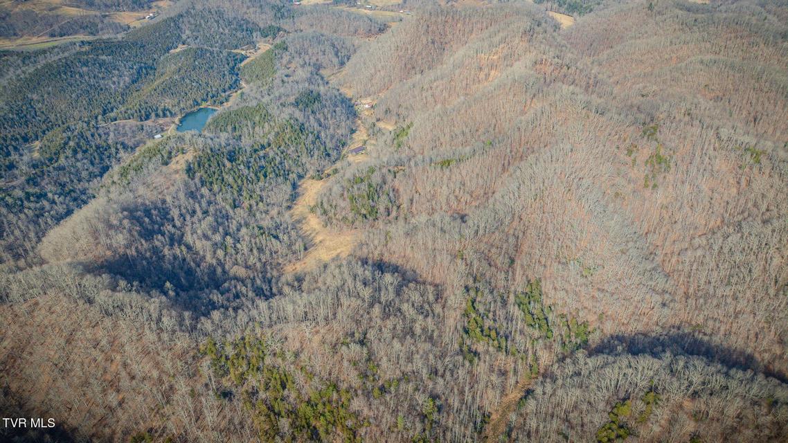 Photo #34: 547 Wynding Way Drive