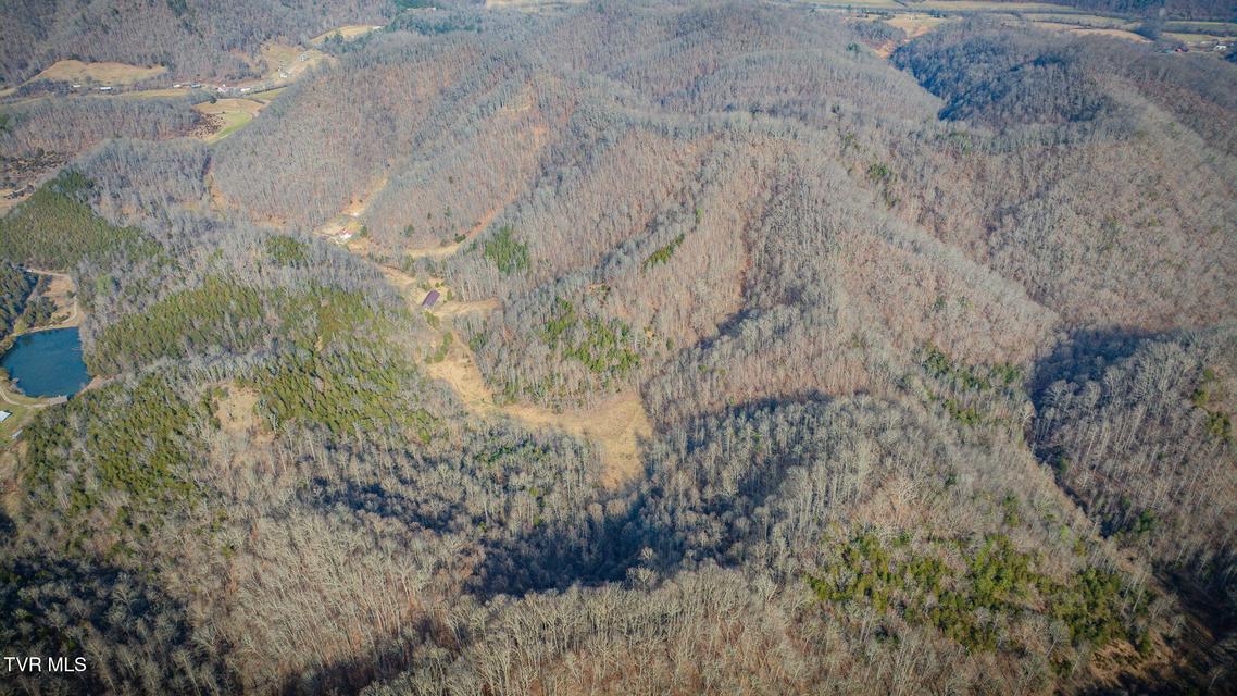 Photo #35: 547 Wynding Way Drive